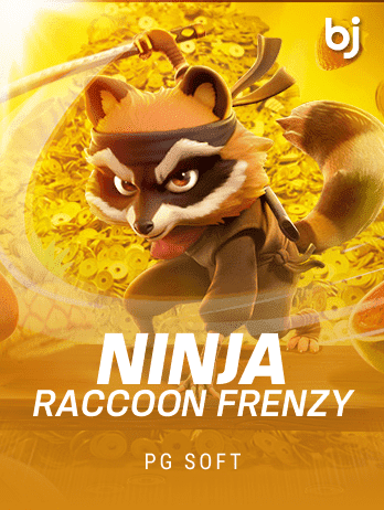 Ninja Raccoon Frenzypng